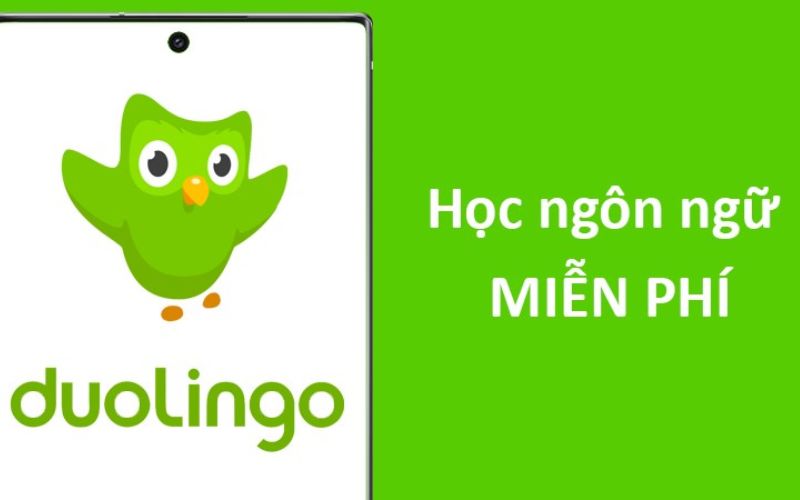 Ứng dụng Duolingo học tiếng Anh hiệu quả