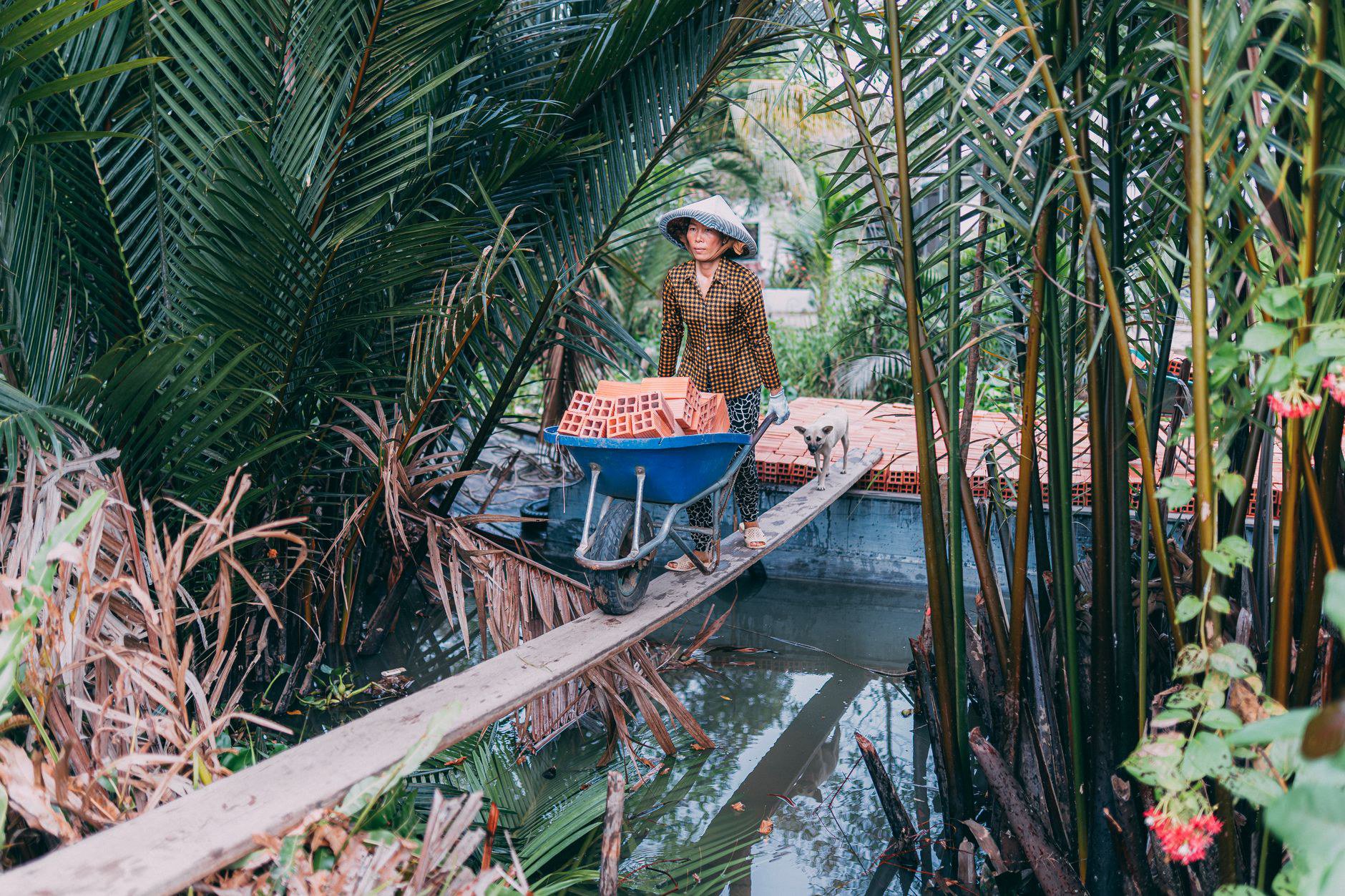 2. Hệ thống Anh văn Hội Việt Mỹ (VUS Cần Thơ) 2. Hệ thống Anh văn Hội Việt Mỹ (VUS Cần Thơ)